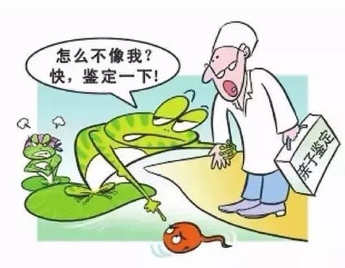 太原隐私亲子鉴定在哪里能做