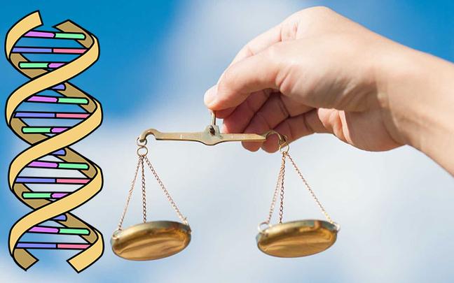 沈阳父母子亲子鉴定需要什么样本最好