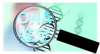 DNA亲子鉴定检测