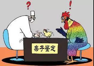 DNA亲子鉴定哪里做