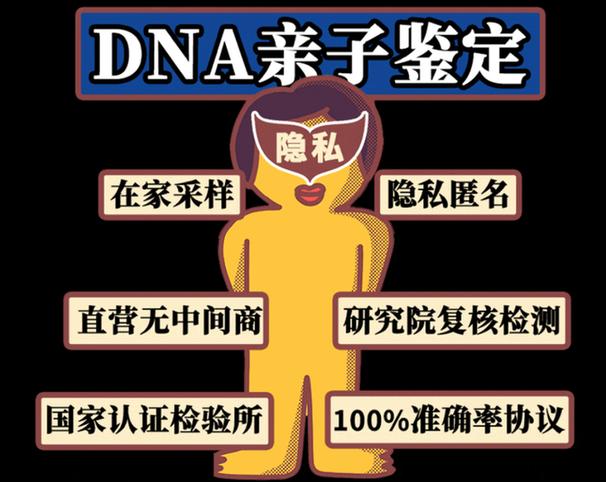 胎儿亲子鉴定方法