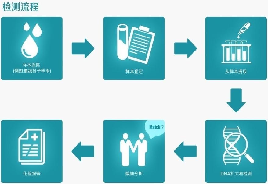 DNA亲子鉴定样本