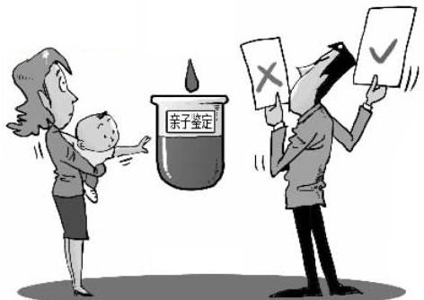 头发亲子鉴定能做